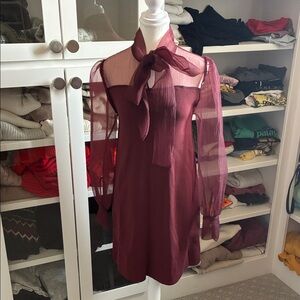 Zara Burgundy Long Sleeve Dress with Sheer Details